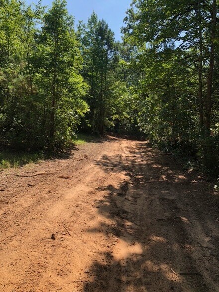 More Photos Of Hwy 157, Plain Dealing Land For Sale