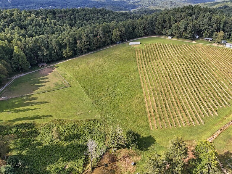 More Photos Of 781 Payne dr, Zirconia Land For Sale