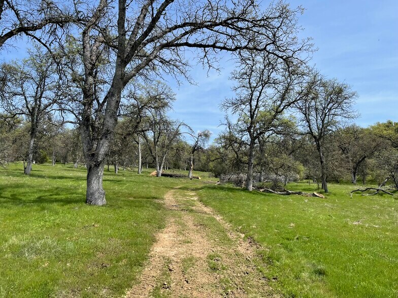 More Photos Of 5877 State 49 hwy, Mariposa Land For Sale