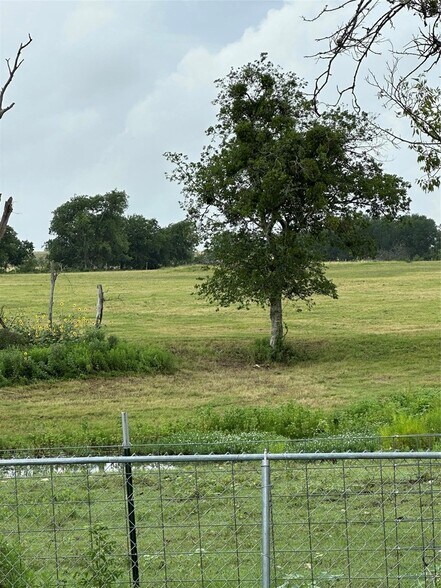 More Photos Of 3007 County Road 303, Jarrell Land For Sale