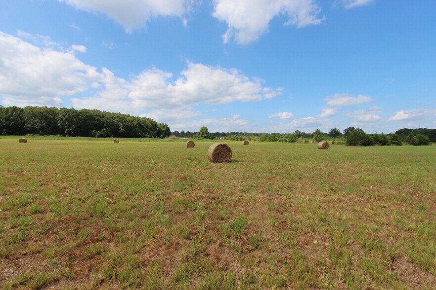 More Photos Of 278 Highway 64 E, Conway Land For Sale