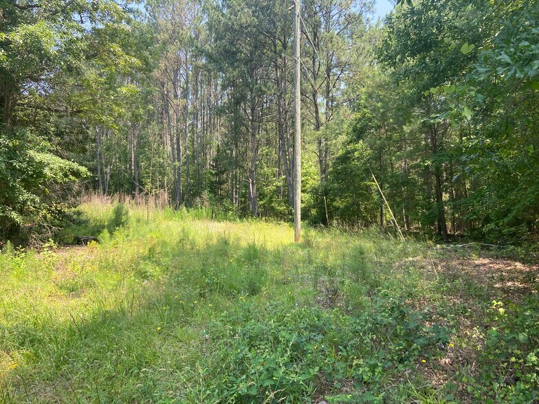 More Photos Of Terry Shop Rd, Fountain Inn Land For Sale