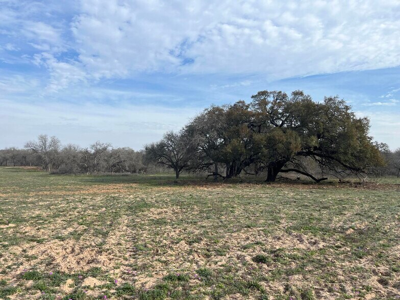 More Photos Of 10382 W FM 476, Poteet Land For Sale