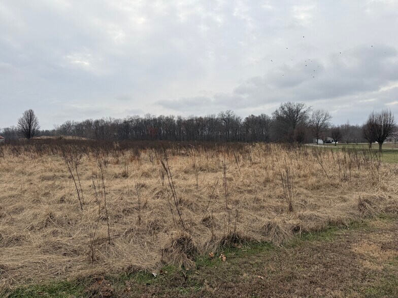 More Photos Of 00 Illinois 148, Mulkeytown Land For Sale