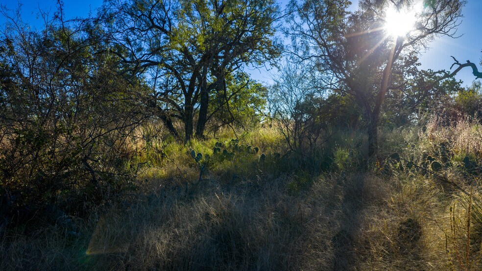 More Photos Of 7499 US 87 hwy, Mason Land For Sale