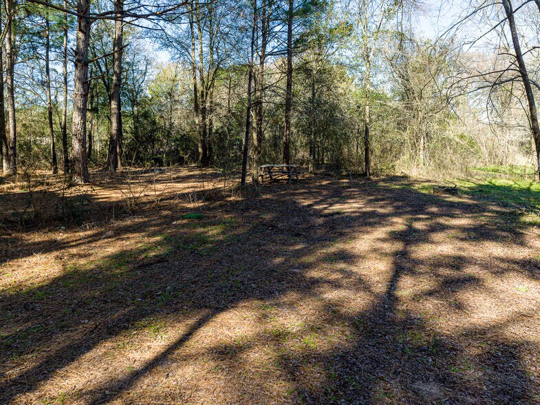 More Photos Of 11201 County Road 203, Plantersville Specialty For Sale