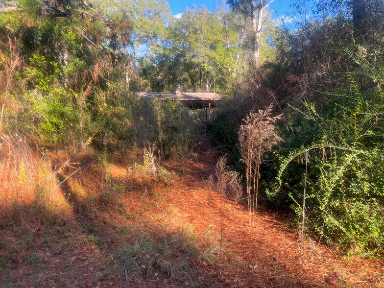 More Photos Of 0 Highway 198, Lucedale Land For Sale