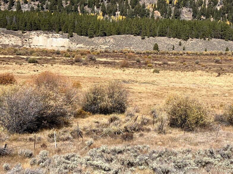 More Photos Of River Rd, Leadville Land For Sale