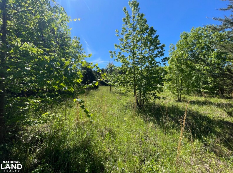 More Photos Of 0 Gibbs Road, Wellford Land For Sale