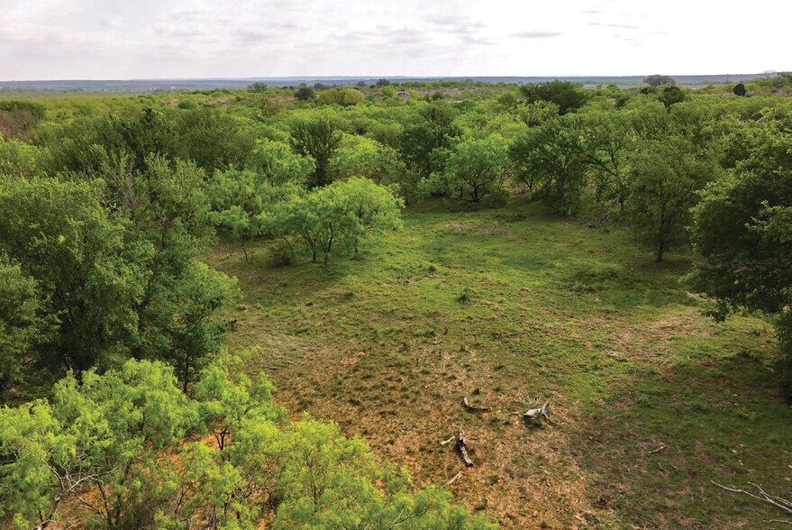 More Photos Of 450 County Road 417, Goldthwaite Land For Sale