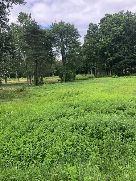 More Photos Of 274 Plank Road, Newburgh Land For Sale