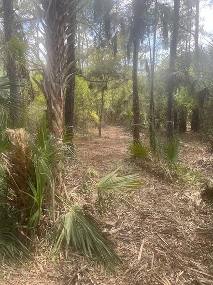 More Photos Of 0 Camellia, Crystal River Land For Sale