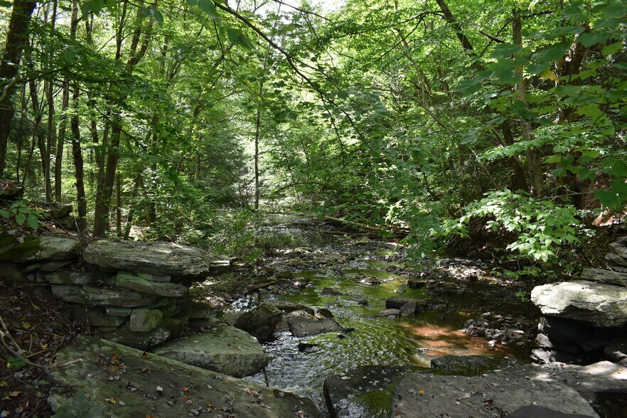 More Photos Of 2276 Old Route 17, Windsor Township Specialty For Sale