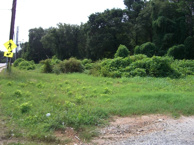 More Photos Of 00 Martin Luther King JR Dr, Atlanta Land For Sale