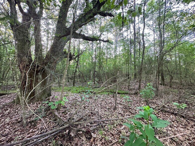 More Photos Of 0 Wilmer, Wilmer Land For Sale
