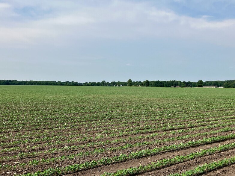 More Photos Of 00 Center Rd, Rochelle Land For Sale