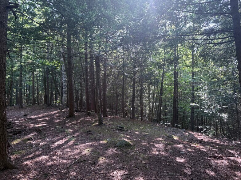 More Photos Of 375 Ormsbee Rd, Porter Corners Land For Sale