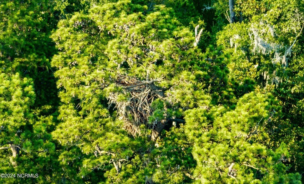 More Photos Of 1801 US Highway 421 N, Wilmington Land For Sale