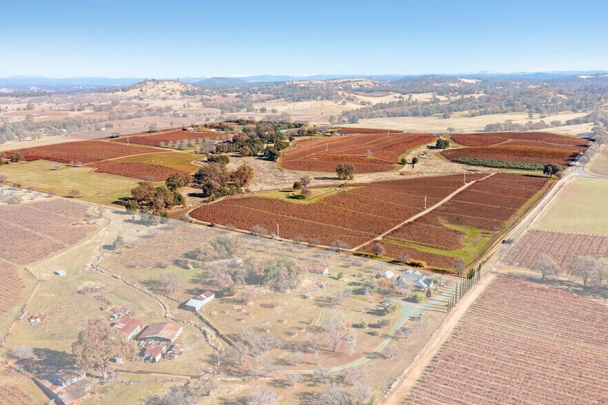 More Photos Of 21365 Shenandoah School Rd, Plymouth Winery Vineyard For Sale