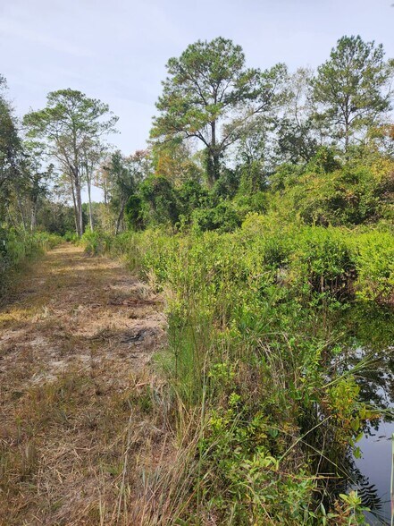 More Photos Of 6939 SW 1 Federal Rd, Lamont Land For Sale