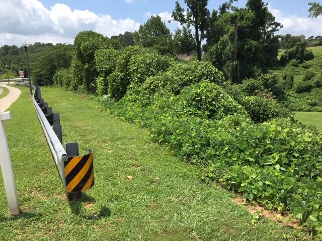 More Photos Of 3638 Thurmon Tanner Pkwy, Oakwood Land For Sale