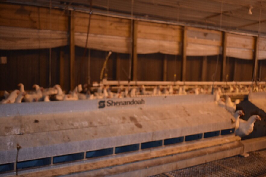 More Photos Of 441 Weaver Rd, Moultrie Land For Sale