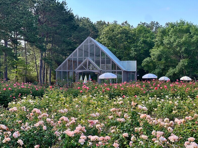 More Photos Of 24272 Grand Pines rd, Magnolia Land For Sale