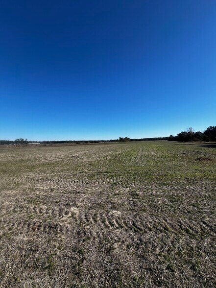 Primary Photo Of 2292 Nichols hwy, Aynor Land For Sale