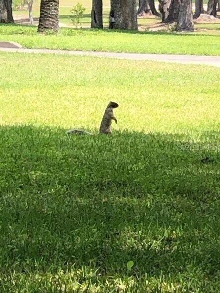 More Photos Of 15400 S US Highway 301, Summerfield Office For Sale