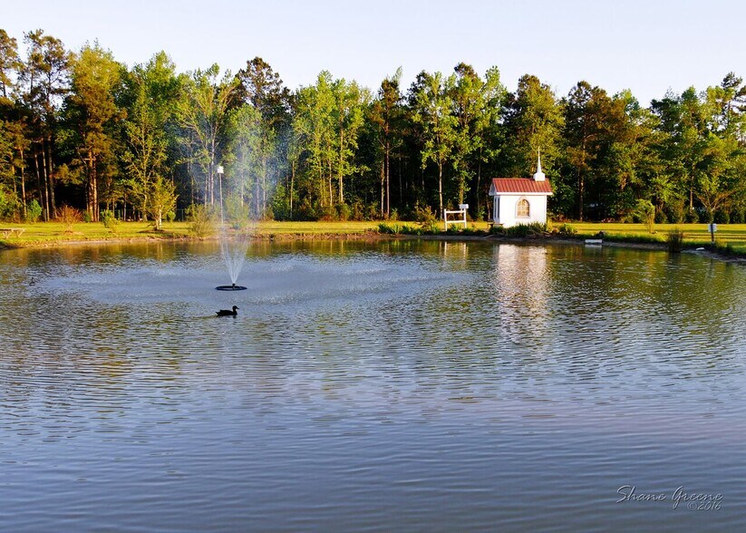 More Photos Of 95 Dot Ln, Tabor City Winery Vineyard For Lease