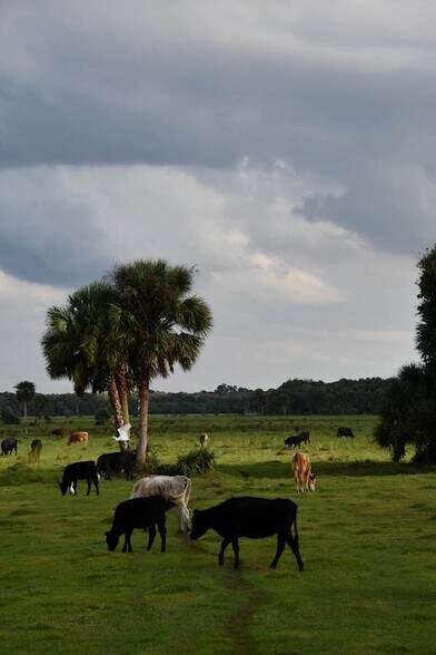 More Photos Of 3893 NW 50th Drive, Okeechobee Land For Sale