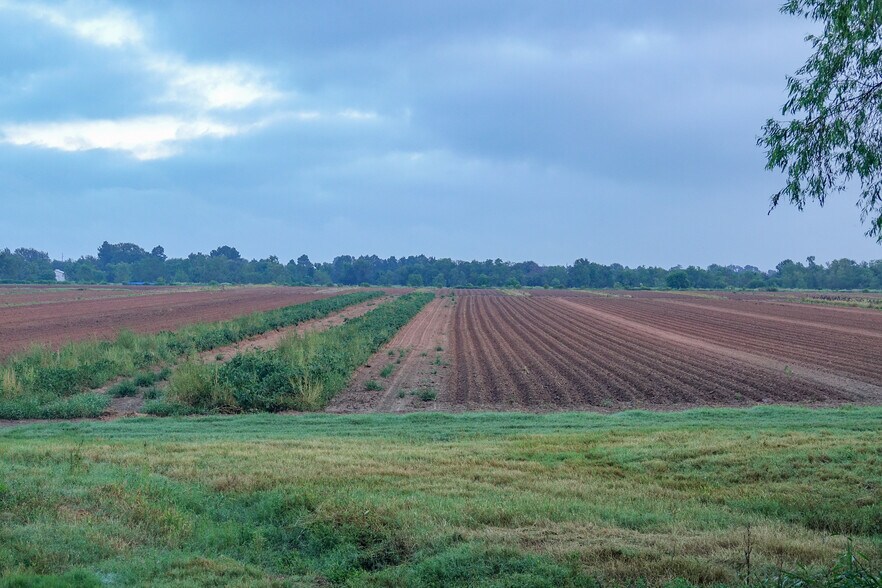 More Photos Of 14134 Penick Rd, Waller Land For Sale