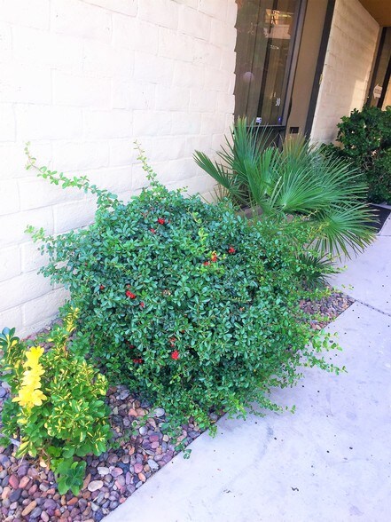 More Photos Of 1700 E Desert Inn Rd, Las Vegas Office Residential For Lease