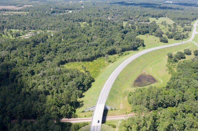 More Photos Of 465 Real Terrace/Bascom Norris dr, Lake City Land For Sale