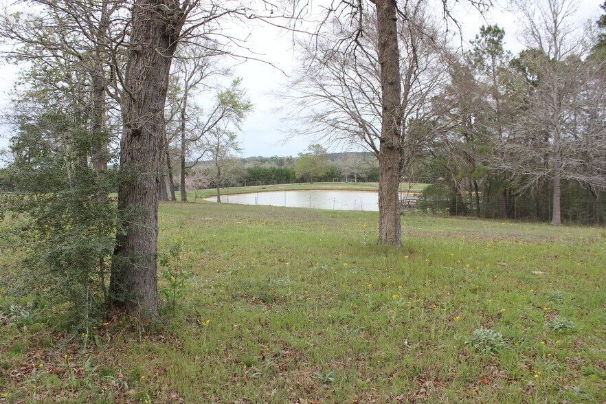 More Photos Of 16046 Honea Rd W, Montgomery Land For Sale