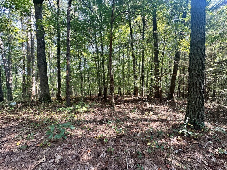 More Photos Of 00 Frix Rd, Cumming Land For Sale