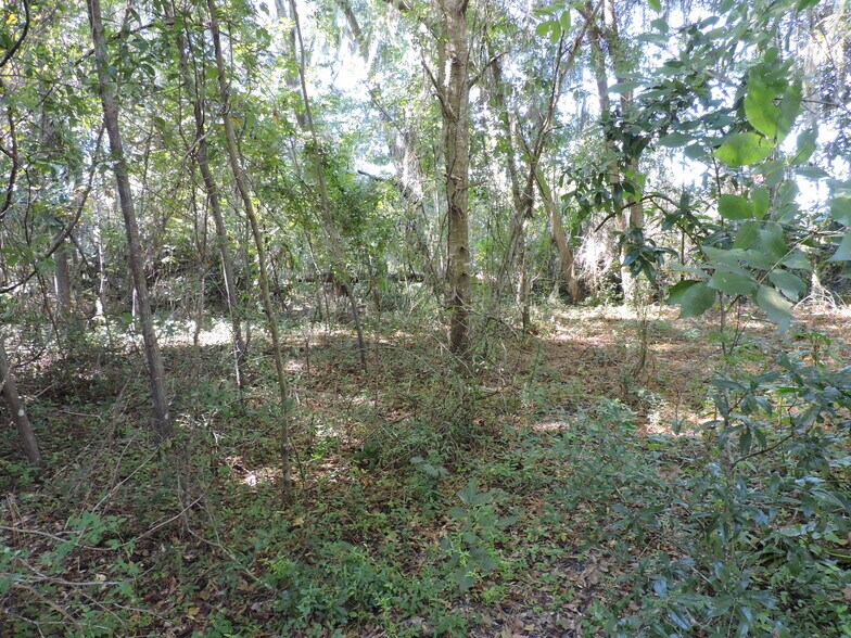 More Photos Of 2935 New Berlin Rd, Jacksonville Land For Sale