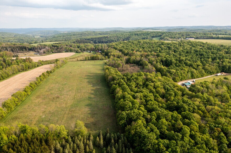 More Photos Of 1364 County Highway 12 rd, Mount Vision Storefront For Sale