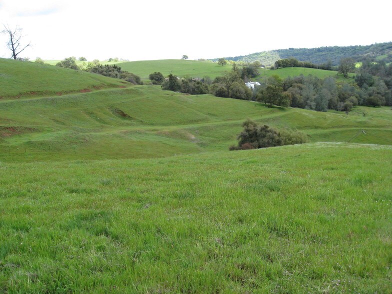 More Photos Of Old Highway 49, Sutter Creek Land For Sale