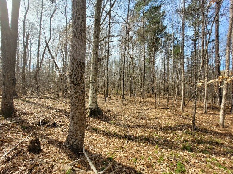 More Photos Of 0000 N. Frazier Rd, Mebane Land For Sale