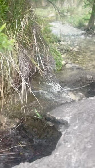 Primary Photo Of 6641 Ranch 1120 Rd, Rio Frio Specialty For Sale