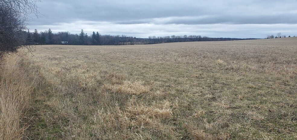 More Photos Of TBD Highway 57, Kasson Land For Sale