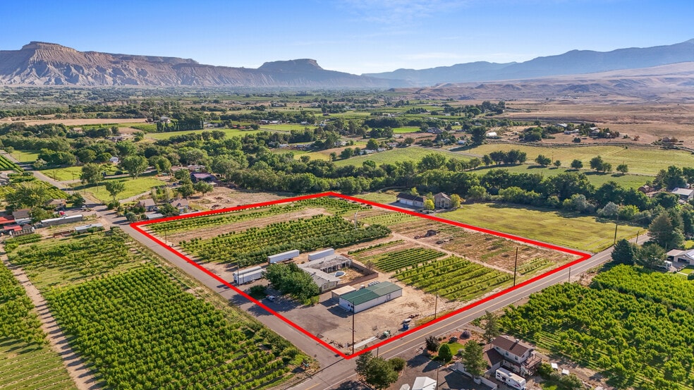 More Photos Of 3376 C Rd, Palisade Specialty For Sale