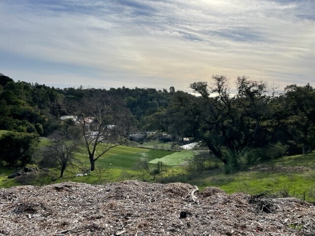 More Photos Of Redwod Rd @ Skyline Blvd, Oakland Land For Sale