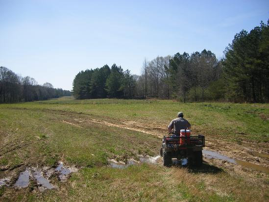 More Photos Of 180 Acres In Winston County Ms, Noxapater Land For Sale