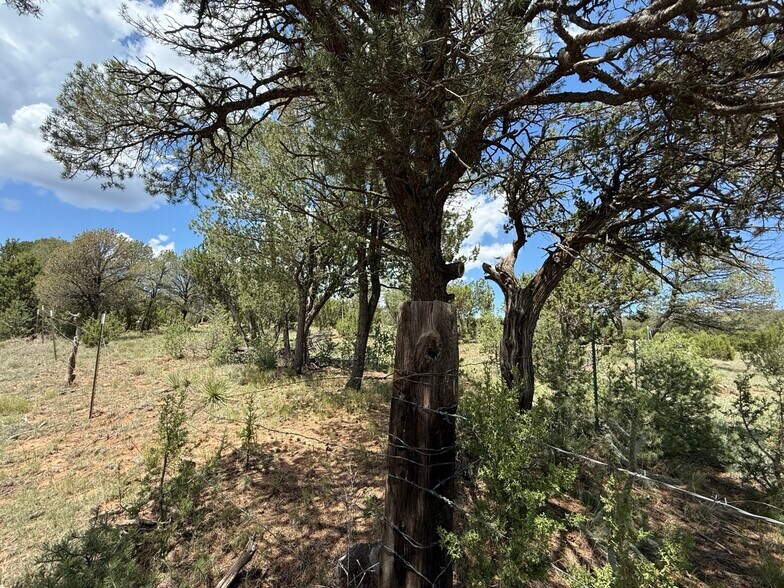 More Photos Of 44 Forest 321 Rd, Estancia Land For Sale