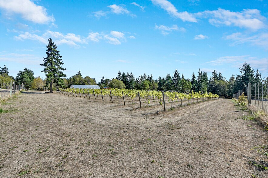 More Photos Of 1673 Woodland Dr, Port Townsend Winery Vineyard For Sale