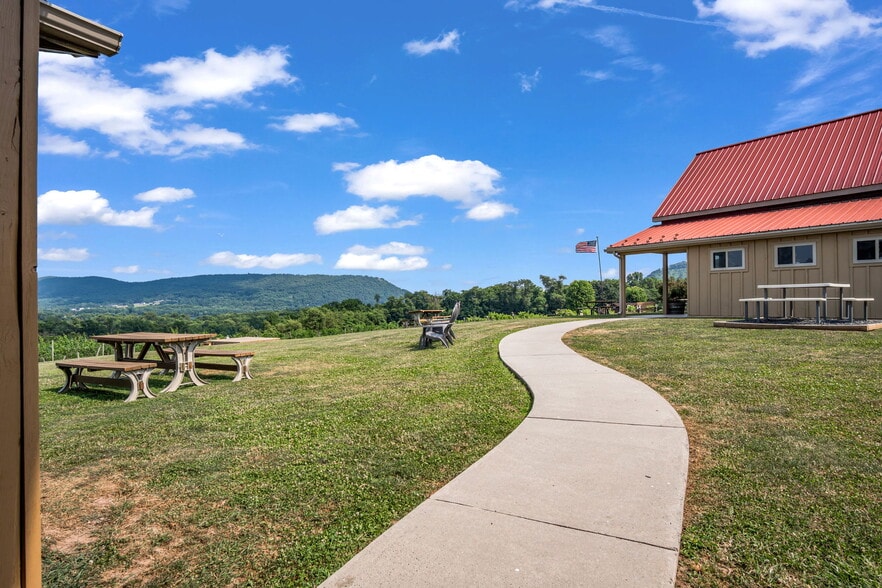 More Photos Of 3 Orchard Rd, Liverpool Winery Vineyard For Sale