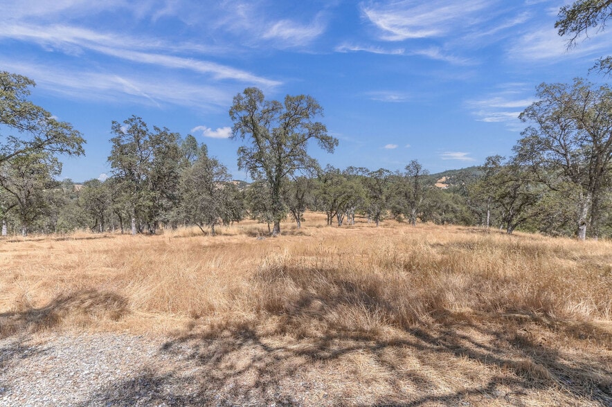 More Photos Of 5761 Highway 4, Angels Camp Land For Sale