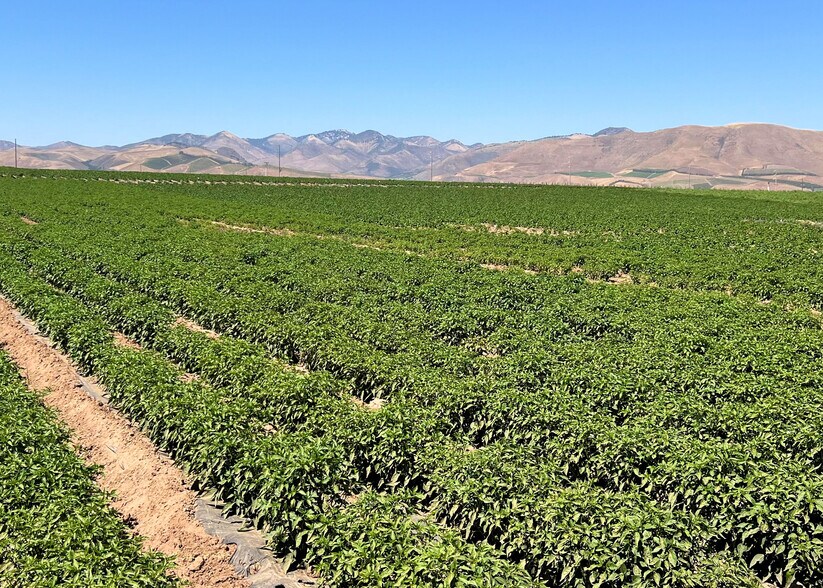 More Photos Of 3840 Orcutt Garey Rd, Santa Maria Land For Sale